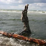 Garni Auszeit Boltenhagen (Ostseebad)