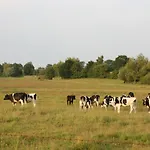 Garni Auszeit Boltenhagen (Ostseebad)