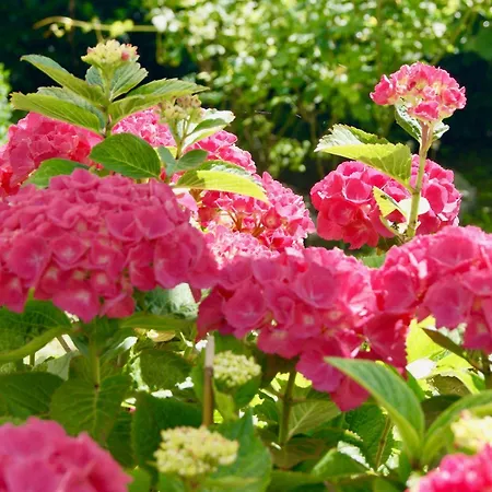 Отель Garni Auszeit