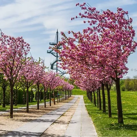 Отель Garni Auszeit Больтенхаген