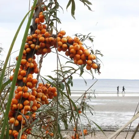 Garni Auszeit Отель Больтенхаген