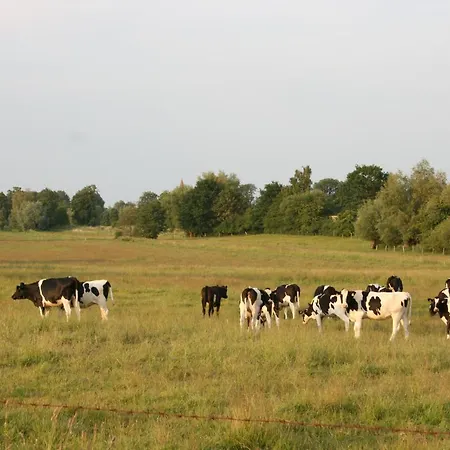 Garni Auszeit Больтенхаген